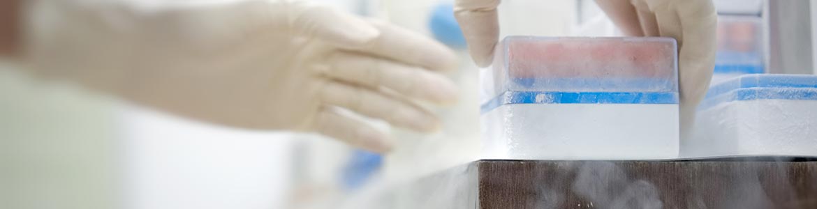 Cryogenic Medical Devices Boedeker Plastics