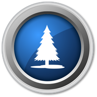 Forestry & Wood Processing