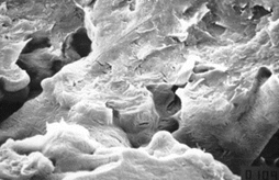 Homopolymer Acetal Magnified Figure 2