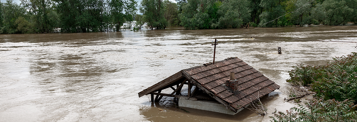 River-Sentry-River-Banks-Boedeker-Plastics-Case-Study-Rotator-Image-1